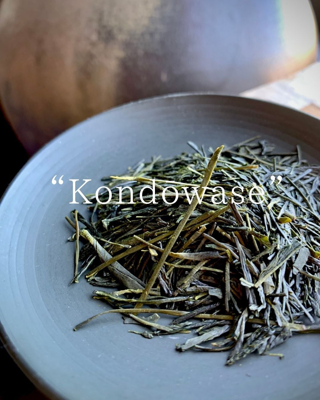 手摘み！大走り新茶2023 丸子近藤早生