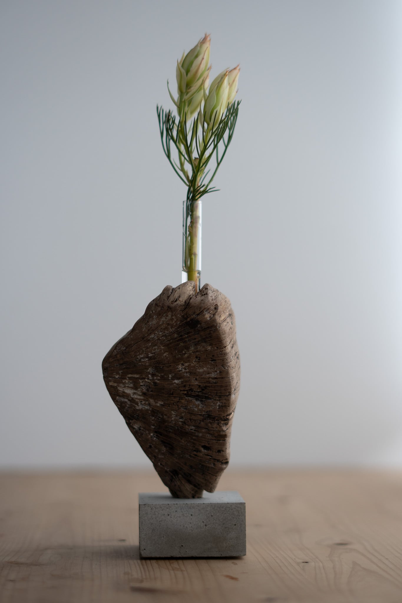 流木一輪挿し Cement M〔無塗装〕 no.18 | saisei