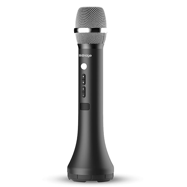 AMATERAS 8058 ダイナミックマイク Y様専用】AMATERAS 8058 / Dynamic Microphoneスイッチ付き | AMATERAS