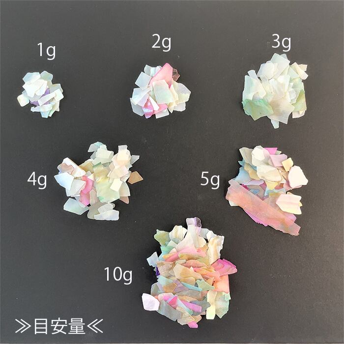 シェルパーツ ネイル レジン 封入 デコ 天然貝 塗装貝 ホワイト カラー