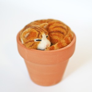 鉢植え猫　No.7(トラ)