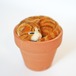 鉢植え猫　No.7(トラ)