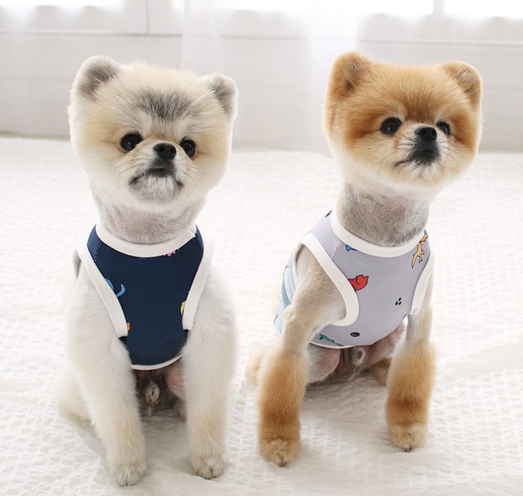 パークタンクトップ S ~ XL 2color / 犬服 新作 夏 可愛い 犬の服 ドッグウェア ペット 涼しい 小型犬 中型犬 ワンコ服 top88