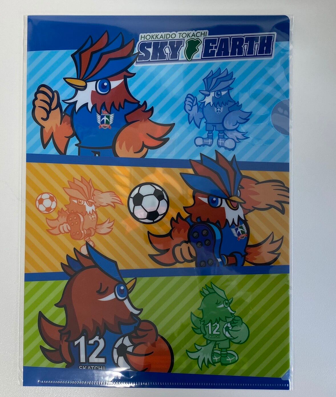 2025年採集！特大 96-97mm ゴライアスメレアグリス　標本　単品 STC 新世界『透明標本』スケルトンケース – ネイチャー