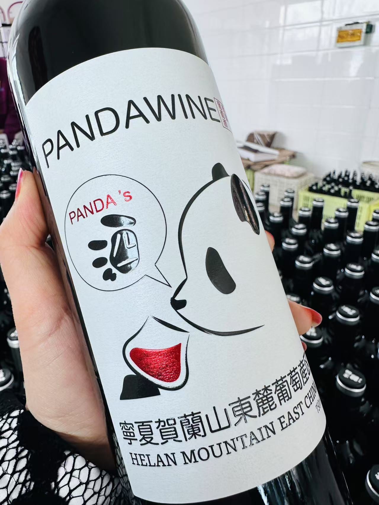 10%オフ：熊猫葡萄酒 赤霞珠 2021：パンダワイン カベルネ