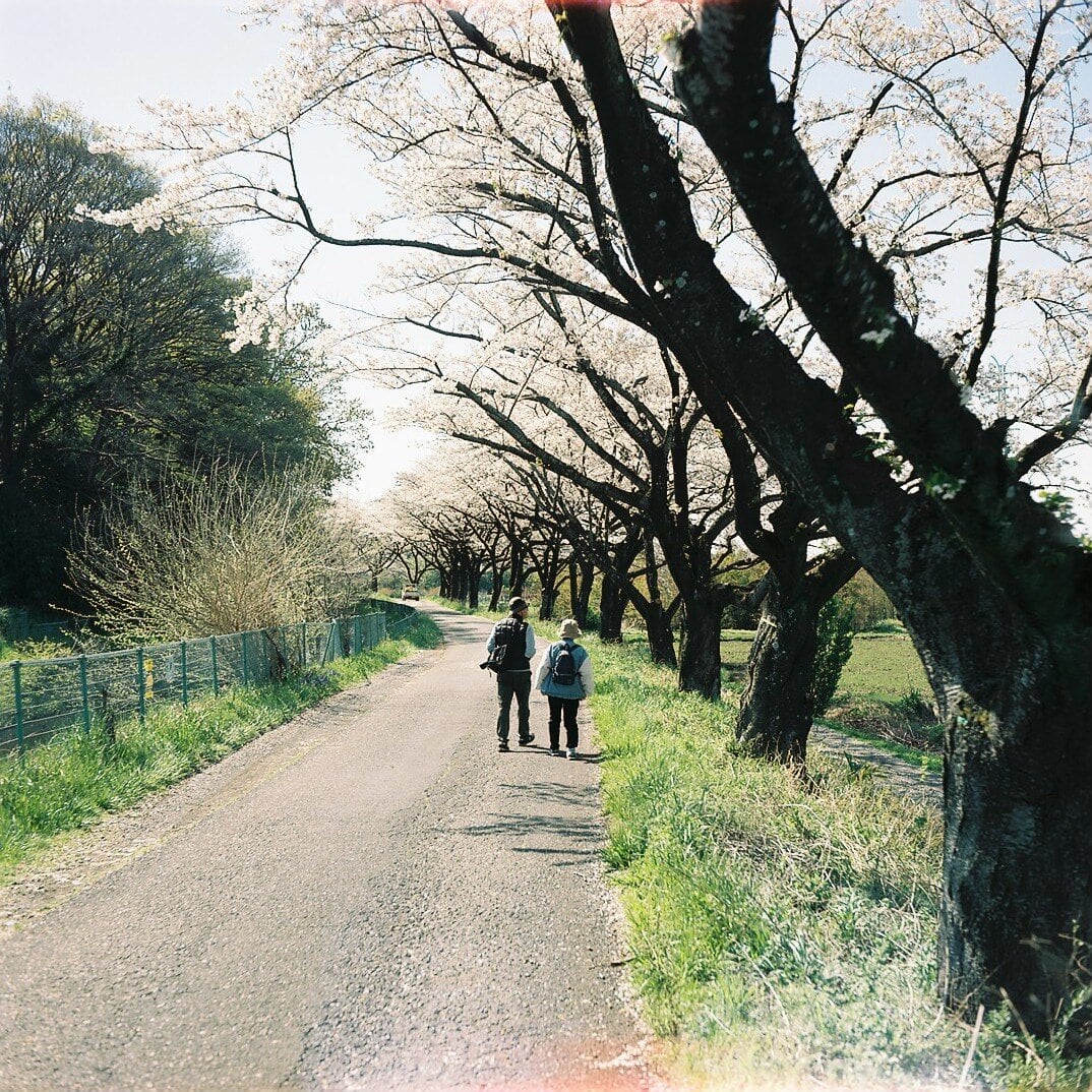FUJICA SUPER FUJICA-6 FUJINAR 7.5cm F3.5 整備済 富士フイルム