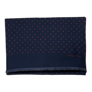 Holliday&Brown(ホリデーアンドブラウン) REVERSIBLE SILK WOOL/CASHMERE STOLE(S125/S47/05)