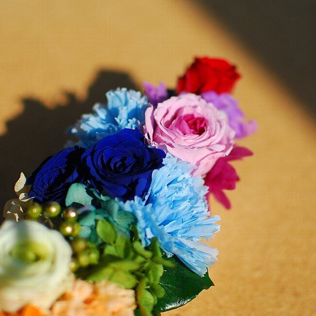 レインボーカラー プリザーブドフラワー アレンジメント RainbowDrops～虹色のアレンジ[ケース入り]プリザーブドフラワー