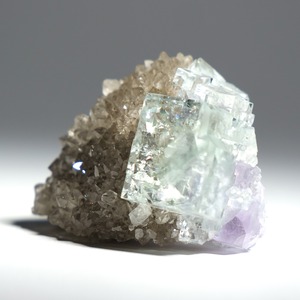 シャンファーリン産 フローライト スモーキークォーツ 共生 / 原石 標本【D_1】