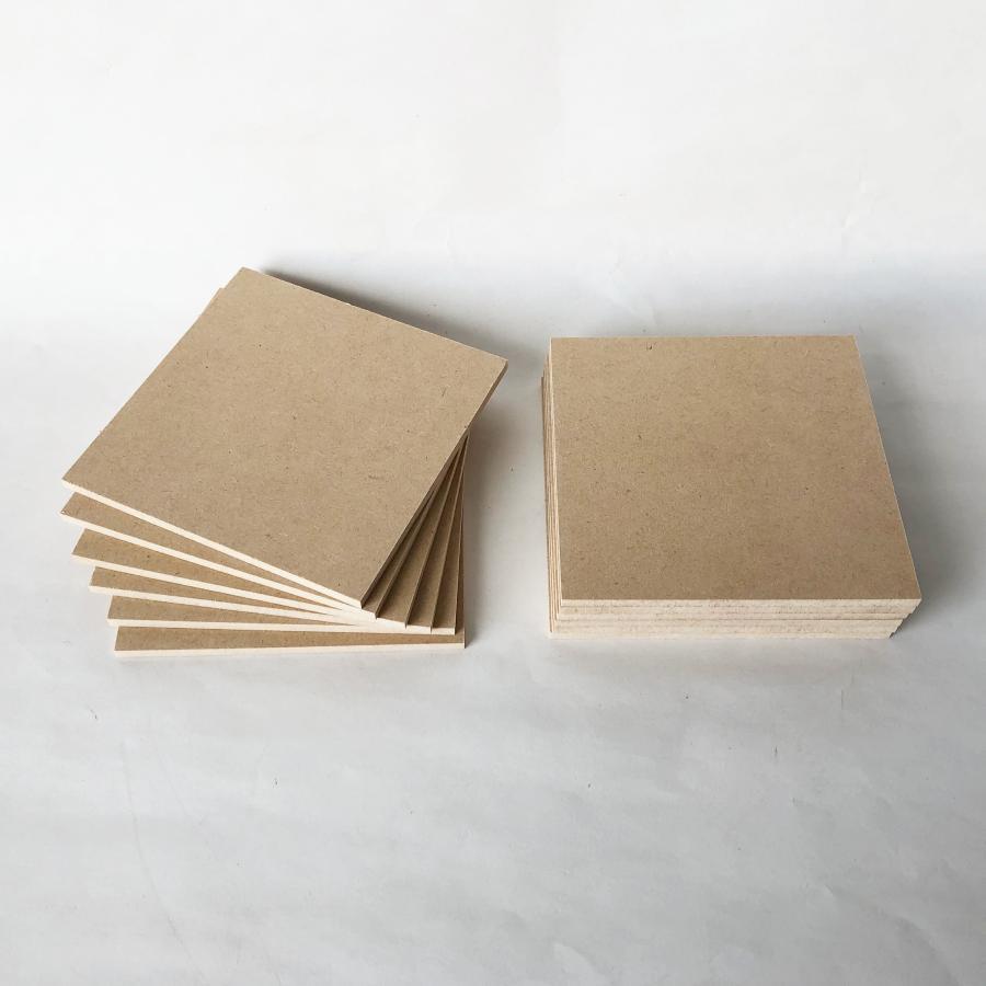 透明標本作製キット】(上級)全20点 | PAY ID