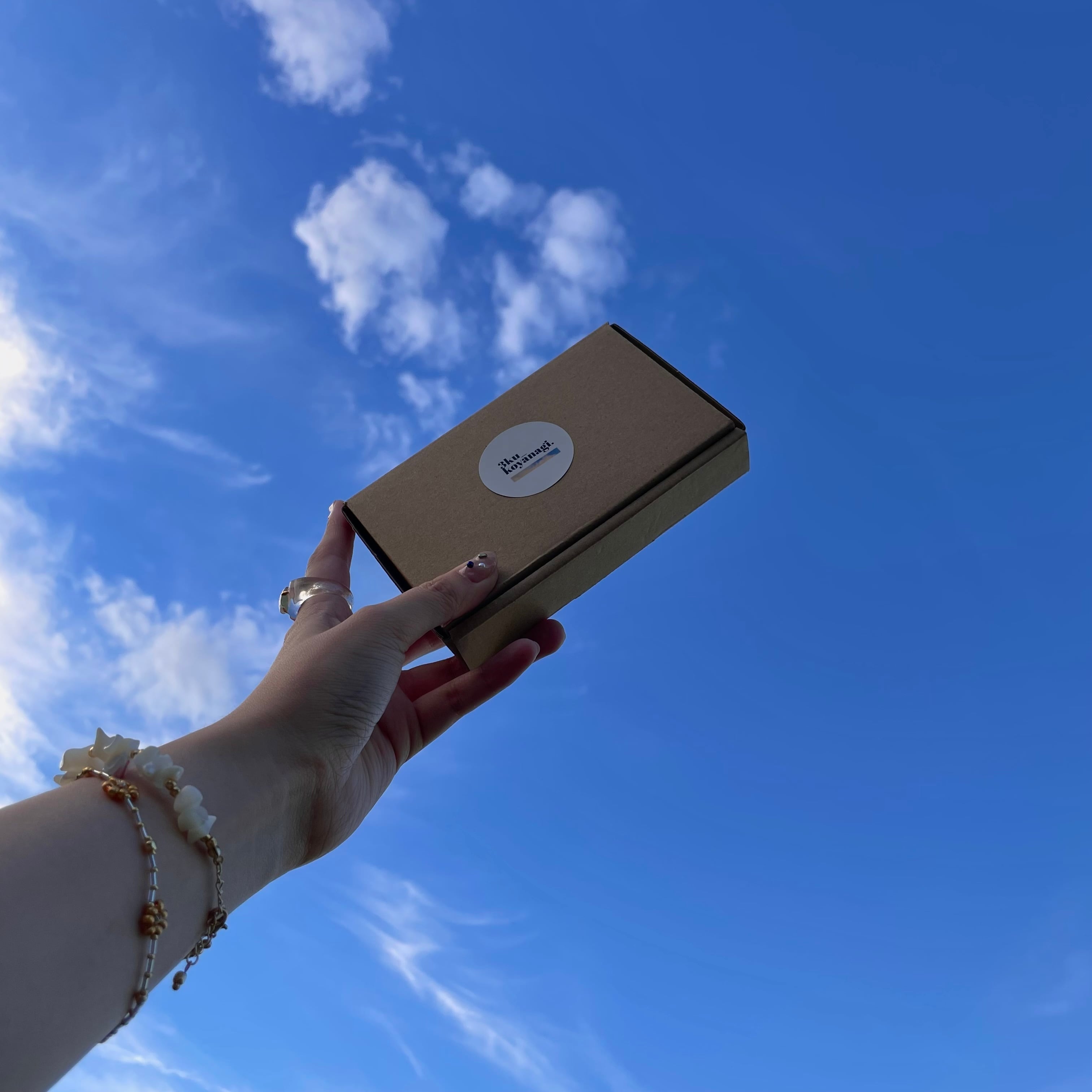 にゃん　お急ぎ、速達 大至急SHEINでFAST速達？ってのがあって、それすると本当に予定通りに