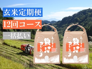 【玄米定期便 12回コース】令和５年産米 魚沼コシヒカリ 特別栽培米 10kg【一括払い】