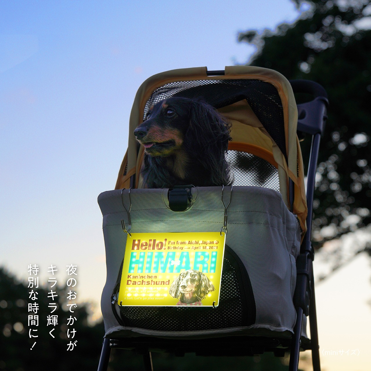 【★光る】カートプレート〈ポップstyle〉