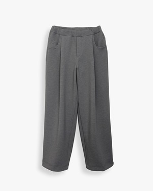 WIDE TECH SLACKS | TG