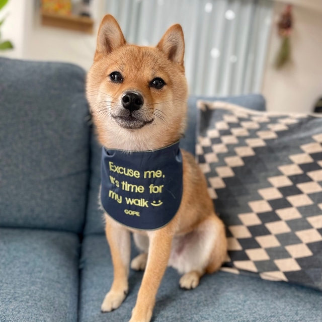 Signature Dog Bandana LGNA