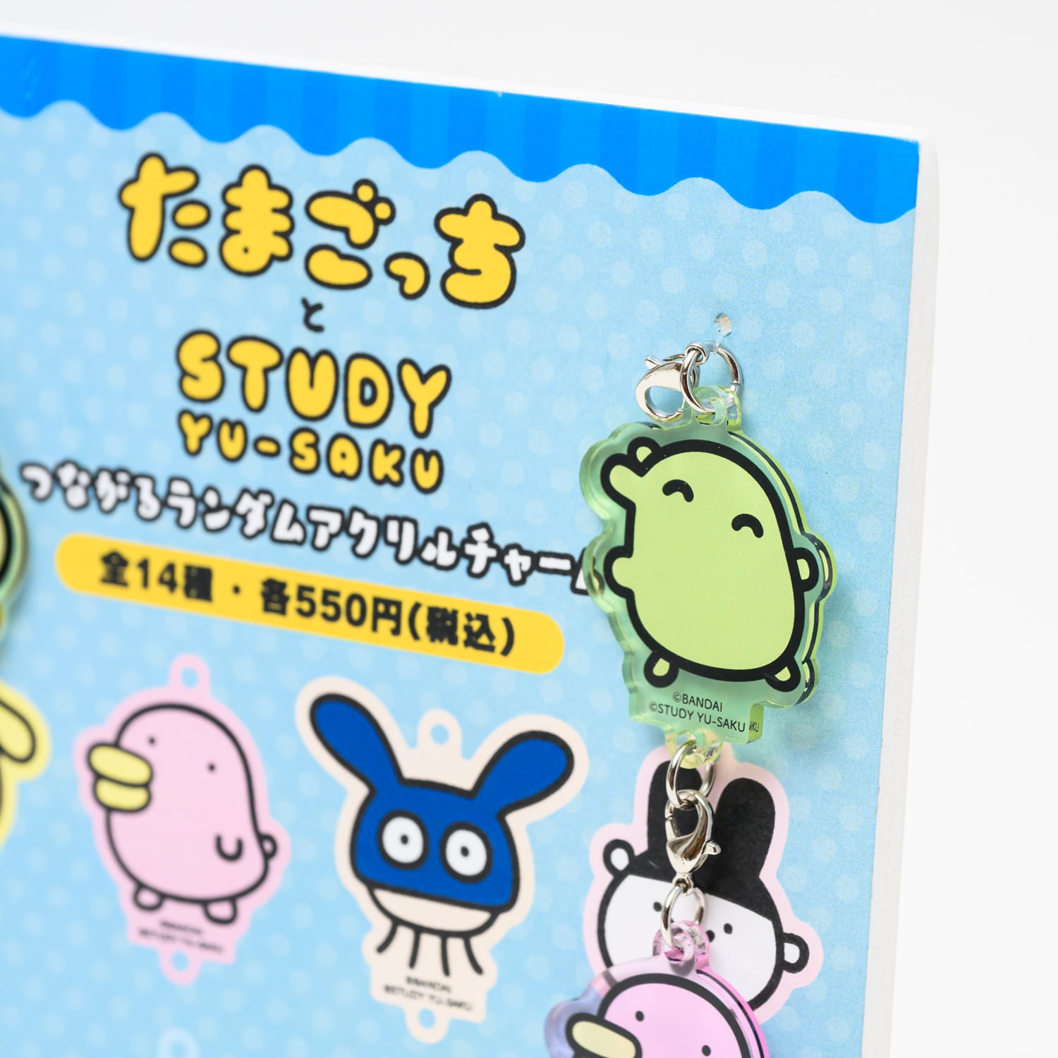 たまごっちとSTUDY優作 つながるランダムアクリルチャーム ※ブラインド