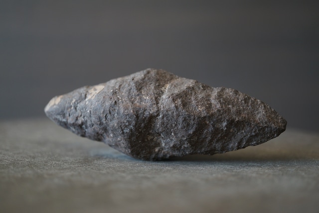 長野県産玄能石(イカイト仮晶、グレンドナイト) Ikaite / Glendonite 1670