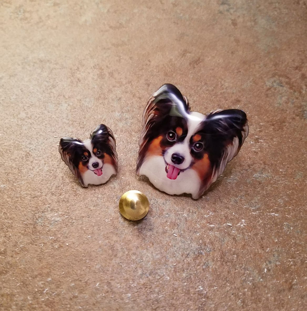 パピヨン／トライカラー【Mサイズ】ピンバッジ | atelier Clavis