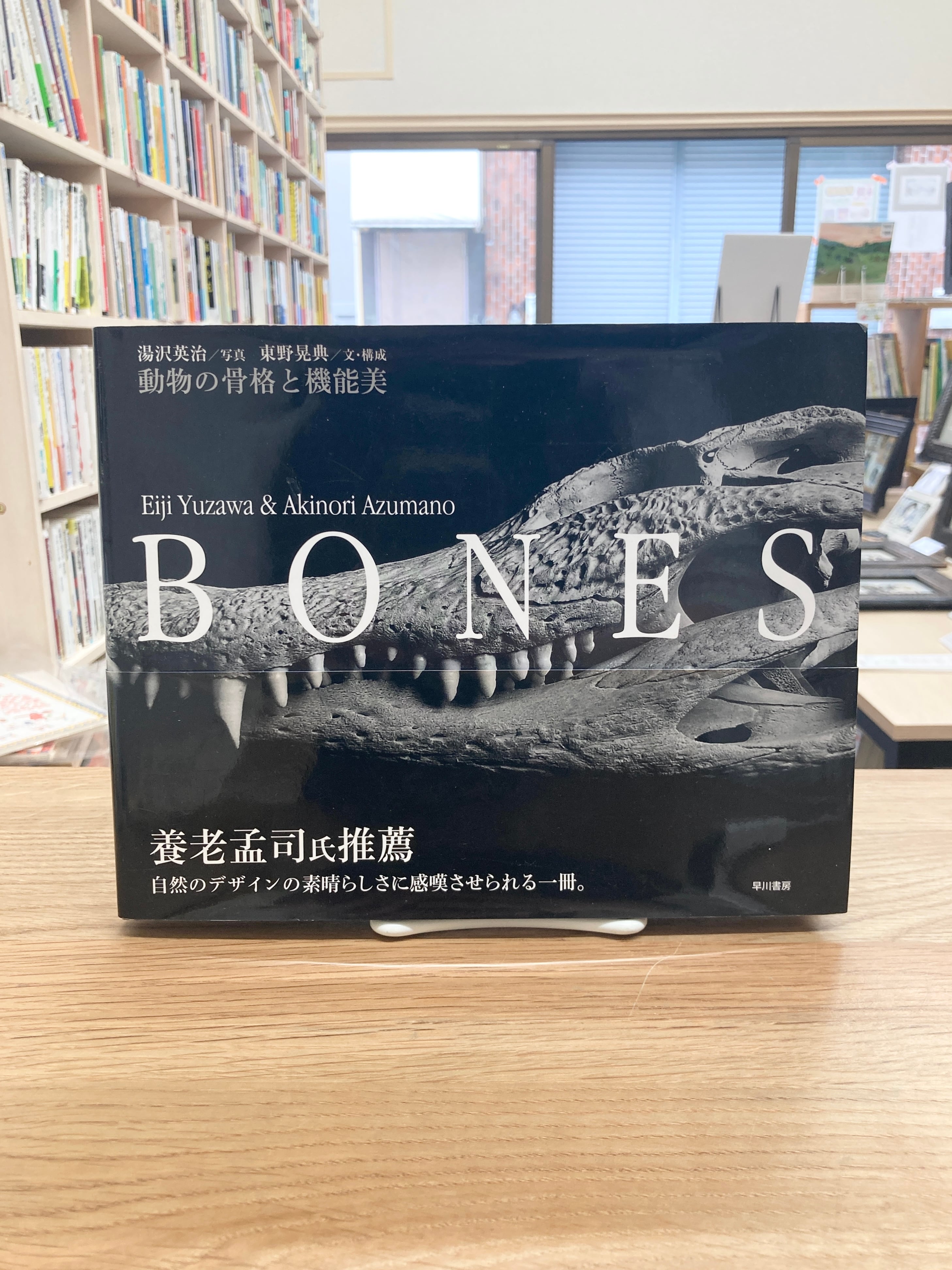 日本の昔話/柳田国男 | 埼玉・南浦和の本屋 ゆとぴやぶっくす ネット
