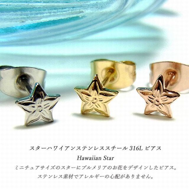 ハワイアンジュエリー / HawaiianJewelry】 スター/星 ピアス【片耳用