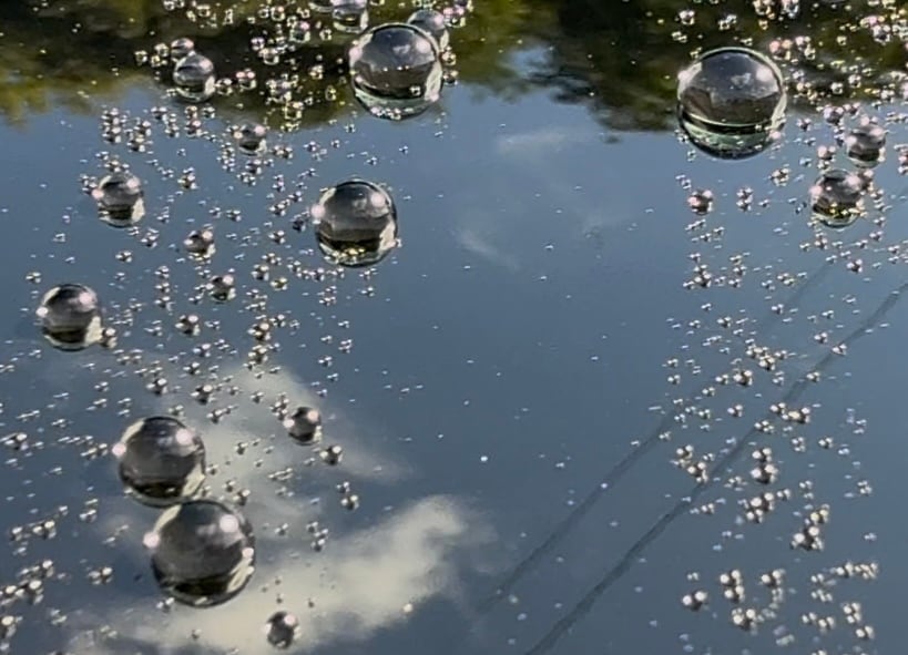 レダーコンタクト ポセイドン レダーコンタクト] 海界の王ポセイドン降臨‼︎ バケツと水さえ