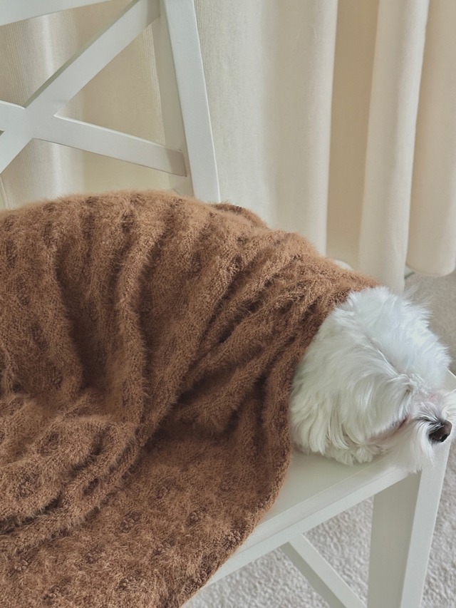 〈即納アイテム〉EYOU / ボードリーブランケット