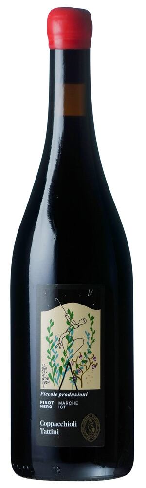ピッコレ　プロドゥツィオーニ　ピノ　ネーロ　24　コッパッキヨリ　タッティーニ　Piccole Produzioni Pinot Nero 24 Coppacchioli Tattini