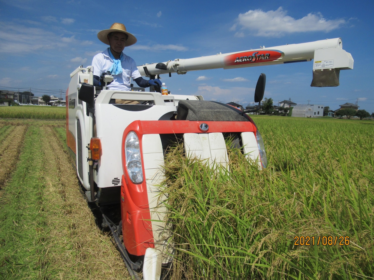 【埼玉県】地域ブランド米”北川辺こしひかり” 5kg＜新米＞　