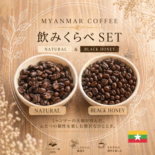 ミャンマー | 飲みくらべセット　ナチュラル×ブラックハニー　 スペシャルティコーヒー