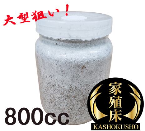 最高級菌糸瓶 1500㏄ 家殖床金(ゴールド) | 輝心堂 最高級菌糸瓶販売サイト