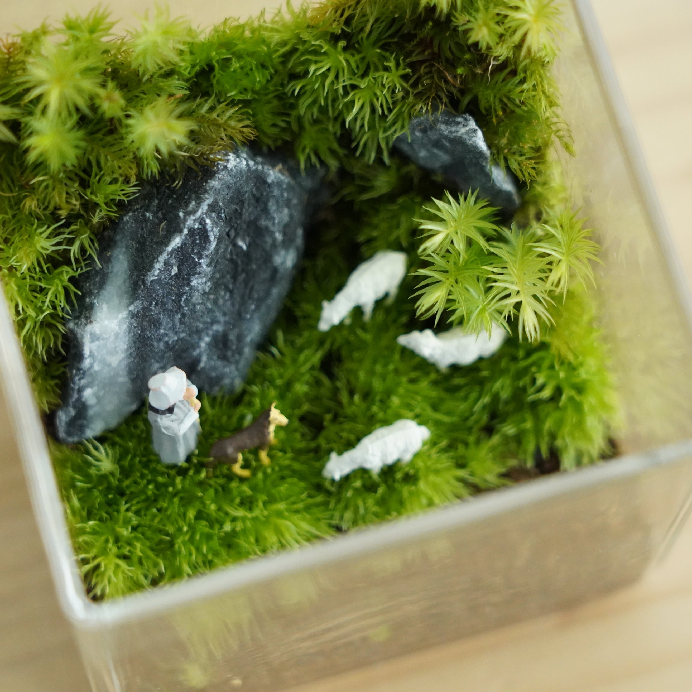 フィギュア】プライザー 羊飼い8体入り | 苔テラリウム専門ショップ道草