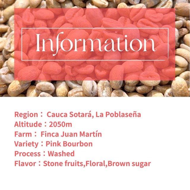 【生豆】コロンビア Finca Juan Martín Pink Bourbon Washed｜100g