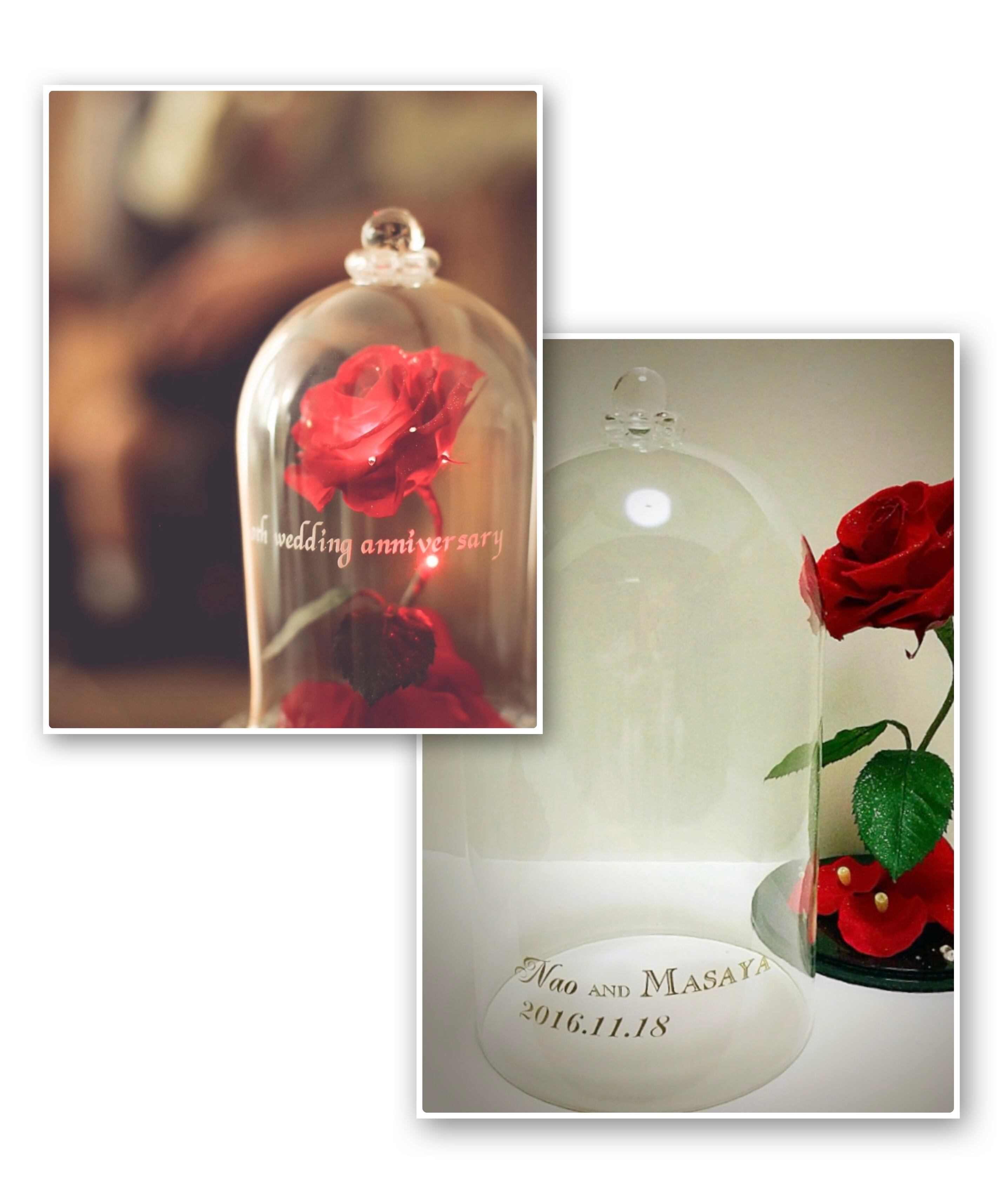 フクヤ　ローズガラスドームアクリルフレーム　　レッド　赤　新品 フクヤ ローズガラスドームアクリルフレーム レッド 赤 新品