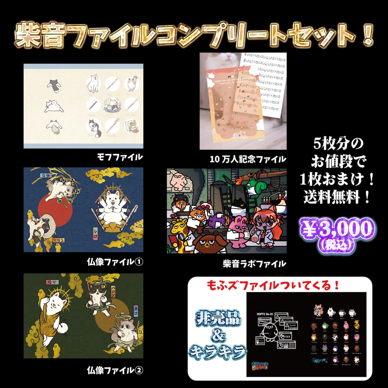 柴音ファイルコンプリートセット!1枚おまけ!