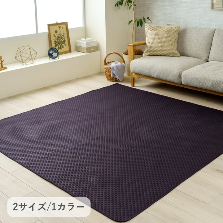 ペット・アウトドア アウトドア用品 レジャーマット 『エスナ』 ブラック 約190×240cm
