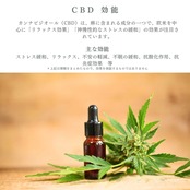 眠りやリーフバスソルト （無香料）　1000ｇ｜眠り草＆CBDを配合