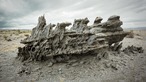 Starship #MonoLake thumbnail 1