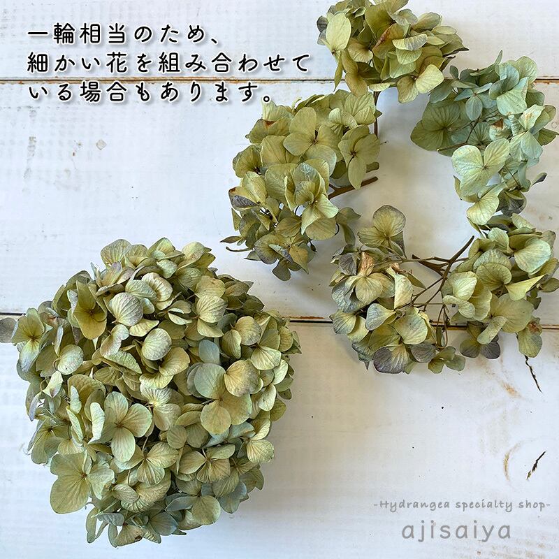 紫陽花ドライフラワー o   秋色紫陽花 北海道産 90サイズ  大量