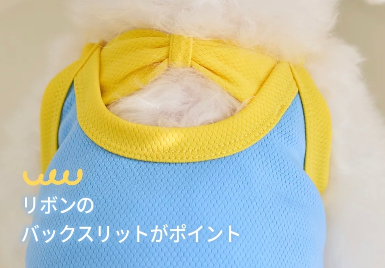 即納【BENNYS】  MARINE COOL CROP TOP (BLUE)Sサイズ