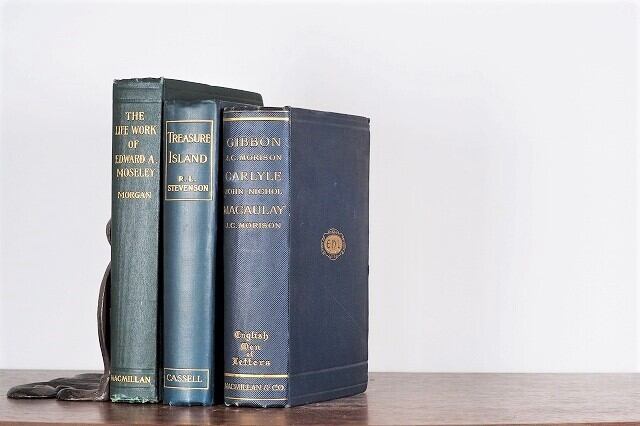 TREASURE ISLAND -3set- / display book