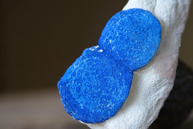 アズライト・サン Azurite Sun ④