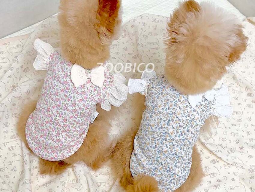 jelly flower t-shirt S ~ XL 2color / 犬服 春夏 Tシャツ ドッグウェア ブラウス 花柄 フリル袖 袖なし ストレッチ コットン 韓国犬服 可愛い