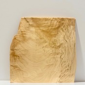 木の結婚証明書|トチ|No.559