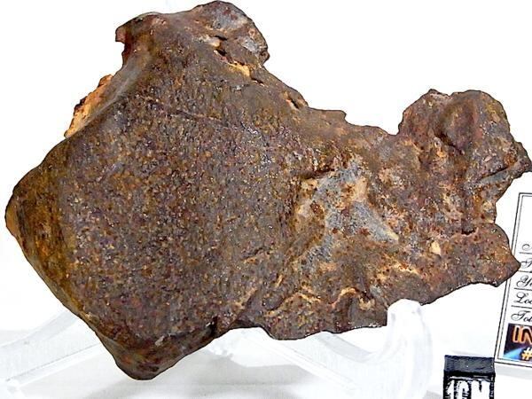 最高品質Iron-nickel Meteorite（鉄ニッケル隕石） Locality : Central 