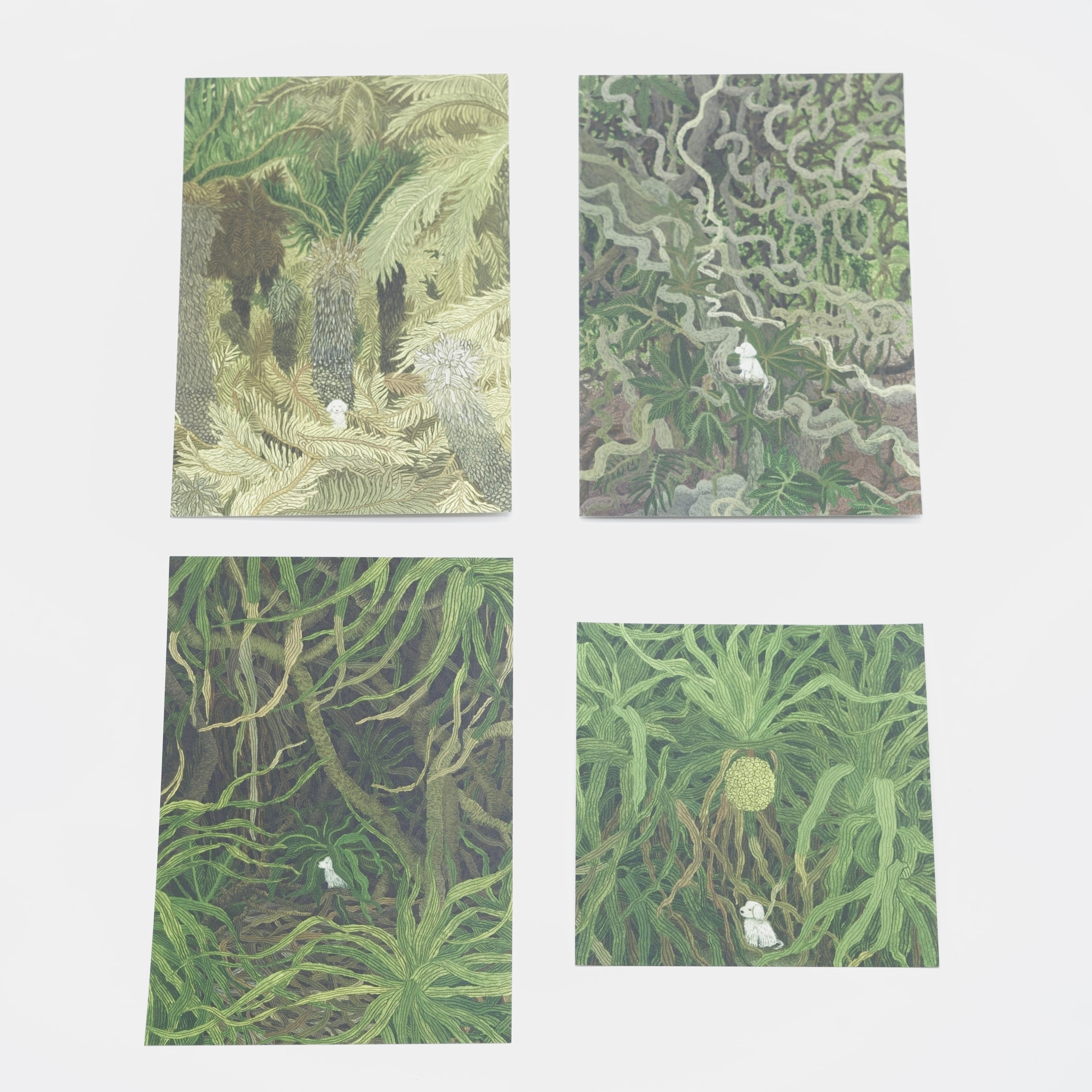 ポストカードセット「AMAMI」」| 中村雅奈「BOWWOW!」