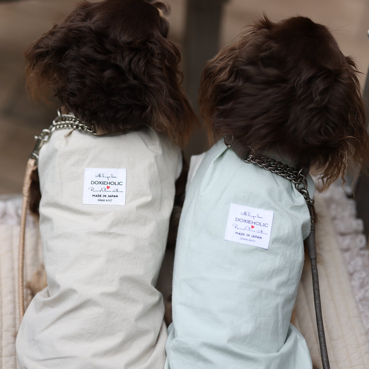 袖なし | カニンヘンダックスとミニチュアダックス専門のお洋服web