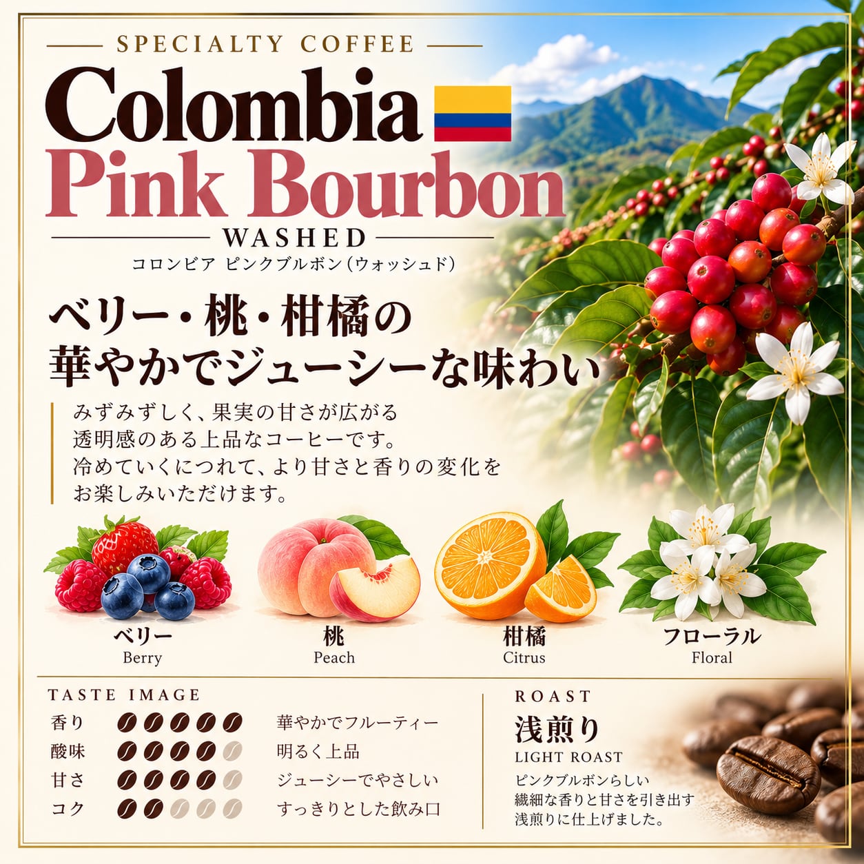 コロンビア ラス・ペルリタス ピンクブルボン|浅煎り