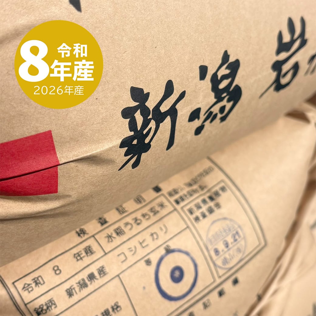 新米 岩船産コシヒカリ 10kg 令和8年産 | 越後の稲穂屋