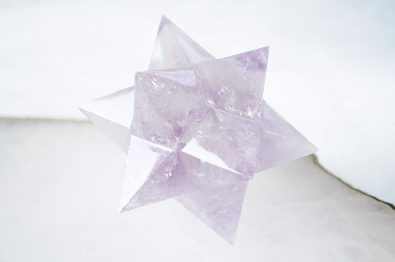 秘めたる夢の実現17