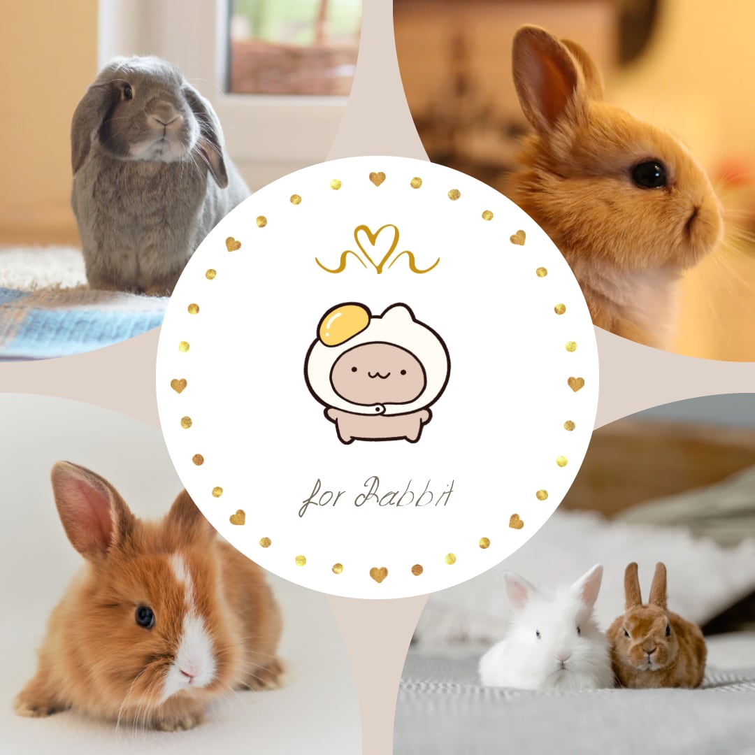 うさぎ　まとめ売り fr2 ウサギ ぬいぐるみの通販 by sakana's _room｜ラクマ